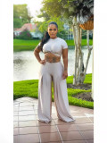 Women Casual Crop Top and wide-leg pants two-piece set