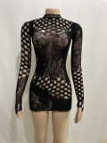 Women's Solid Color Mesh Round Neck Long Sleeve See-Through Sexy Slim Mini Dress
