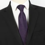 Spring Men's Business Tie