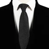 Spring Men's Business Tie