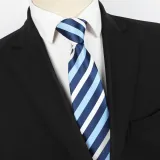 Spring Men's Business Tie