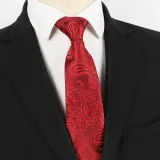 Spring Men's Business Tie