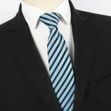 Spring Men's Business Tie