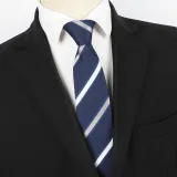 Spring Men's Business Tie