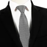 Spring Men's Business Tie