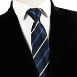 Spring Men's Business Tie