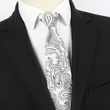 Spring Men's Business Tie