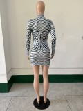 Women Spring/Summer Print Turtleneck Long Sleeve Dress