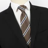Spring Men's Business Tie