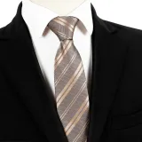 Spring Men's Business Tie