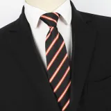 Spring Men's Business Tie