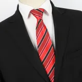 Spring Men's Business Tie