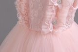 Girls children's dress lace tutu princess dress