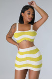 Summer Fashionable Contrasting Stripes Sexy Knitting High Waist Two Piece Skirt Set