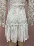 Summer Women embroidered sexy lace dress