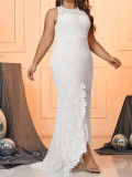 Women's Plus Size Elegant Lace Tail Wedding Dress