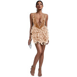 Summer Women's Deep V Neck Low Back Sequin Feather Bodycon Dress