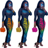 Women Casual tiger print mesh dress