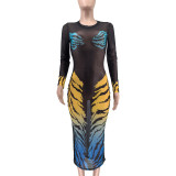 Women Casual tiger print mesh dress