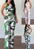 Casual Printed Sleeveless Women's Two Piece Pants Set