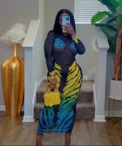 Women Casual tiger print mesh dress