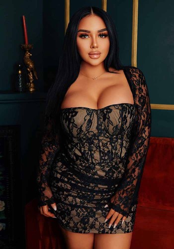 Sexy See-Through Long Sleeve Bodycon Dress Plus Size Lace Club Dress