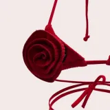Women Lace-Up Floral Sexy Backless Swimwear