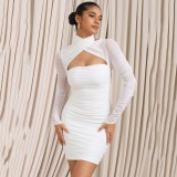 Sexy Solid Color Mesh Dress Spring Summer Long Sleeve Hollow Slim Bodycon Dress