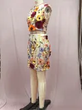 Spring Women's Embroidered Sleeveless Crop Top Bodycon Skirt Two-Piece Set