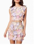 Spring Women's Embroidered Sleeveless Crop Top Bodycon Skirt Two-Piece Set