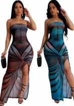 Women mesh printed slit sexy Maxi Dress