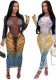 Women Fashion Round Neck See-Through Print Mesh Dress