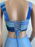 Women's Summer Fashion Printed Mesh Sexy Strap Vest Skirt Two Piece Set