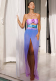 Women gradient flower Strapless hollow one-piece swimsuit Mesh Skirt two-piece set