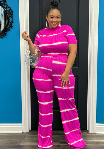 Striped Printed Casual Plus Size Two-Piece Pants Set