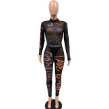 Women's Summer Print See-Through Mesh Tight Fitting Bodysuit Pants Two Piece Set