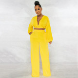 Women Solid Long Sleeve Top and Pant Casual Two-piece Set