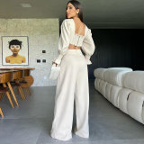 Women Solid Long Sleeve V-Neck Backless Top and Wide Leg Pants Two-Piece Set