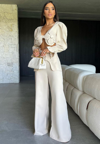 Women Solid Long Sleeve V-Neck Backless Top and Wide Leg Pants Two-Piece Set