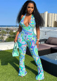 Summer Sexy Print Halter Neck Deep V Neck Low Back Print Tight Fitting Jumpsuit