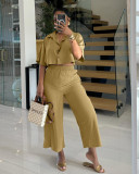 Women turndown collar shirt and nine-point wide-leg pants two-piece set