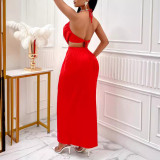 Women's Spring Summer Sexy Solid Color Halter Vest Slit Long Skirt Two Piece Set