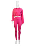 Casual Women's Zipper Elastic Buckle Slim Waist Long Sleeve Sport Two-Piece Pants Set