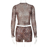 Women's autumn sexy leopard printed mesh long-sleeved top slim shorts two piece set