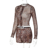 Women's autumn sexy leopard printed mesh long-sleeved top slim shorts two piece set