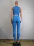 Women's Yoga Clothes Fitness Vest Butt Lift Tight Fitting Pants Sport Two Piece Set