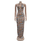 Women Wild Leopard Print Dress