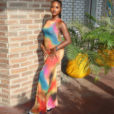 Women's Fashion Print Round Neck Sleeveless Long Dress