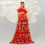 Women Sleeveless Off Shoulder Printed Mesh Formal Party Maxi Evening Dress