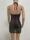 Women's Luxury Low Back Halter Neck Sequin Bodycon Dress